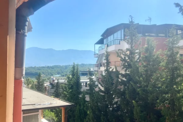 Shtepi me qera Apartament ne Tirane, 1+1, Mobilimi E mobiluar, Pagesa 60,000  Leke.