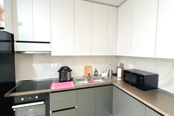 Shtepi me qera Apartament ne Tirane, 1+1, Mobilimi E mobiluar, Pagesa 60,000  Leke.