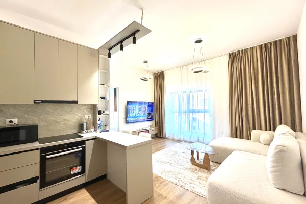 Shtepi ne shitje Apartament ne Tirane, 1+1, Mobilimi E mobiluar, Pagesa 110,000  Euro.