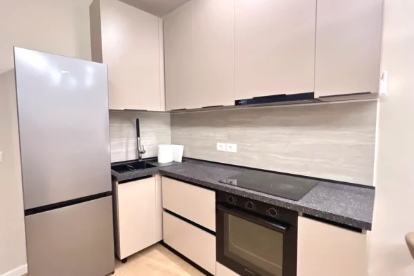 Shtepi me qera Apartament ne Tirane, 1+1, Mobilimi E mobiluar, Pagesa 45,000  Leke.
