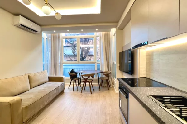 Shtepi me qera Apartament ne Tirane, 1+1, Mobilimi E mobiluar, Pagesa 55,000  Leke.