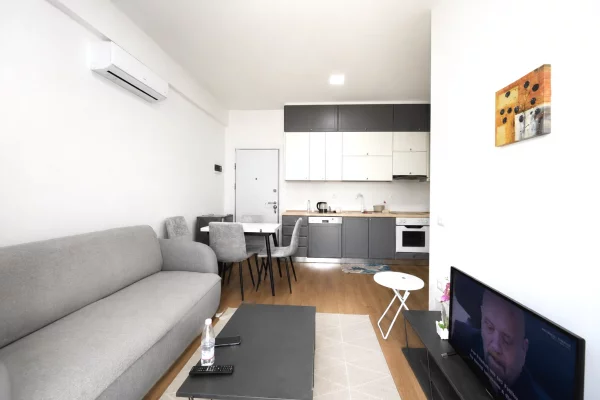 Shtepi ne shitje Apartament ne Tirane, 1+1, Mobilimi E mobiluar, Pagesa 105,000  Euro.