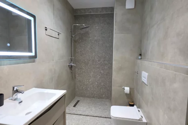 Shtepi ne shitje Apartament ne Tirane, 1+1, Mobilimi E mobiluar, Pagesa 116,000  Euro.