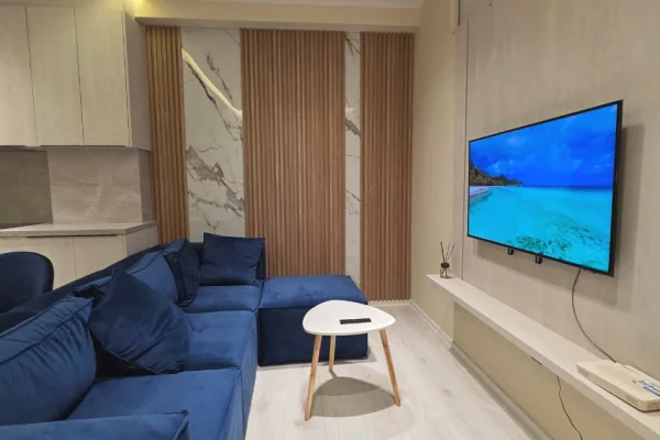 Shtepi ne shitje Apartament ne Tirane, 1+1, Mobilimi E mobiluar, Pagesa 116,000  Euro.