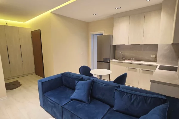 Shtepi ne shitje Apartament ne Tirane, 1+1, Mobilimi E mobiluar, Pagesa 116,000  Euro.