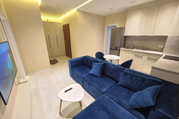 Shtepi ne shitje Apartament ne Tirane, 1+1, Mobilimi E mobiluar, Pagesa 116,000  Euro.