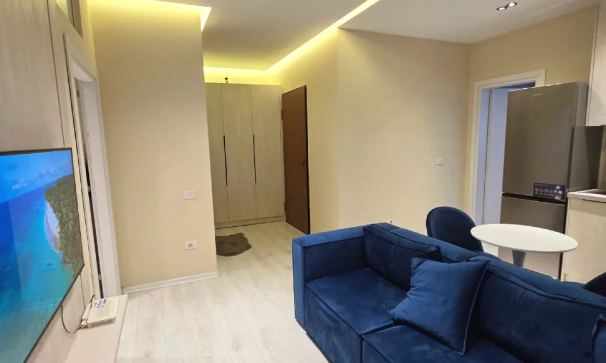 Shtepi ne shitje Apartament ne Tirane, 1+1, Mobilimi E mobiluar, Pagesa 116,000  Euro.