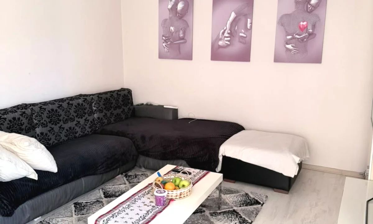 Shtepi me qera Apartament ne Tirane, 1+1, Mobilimi E mobiluar, Pagesa 55,000  Leke.