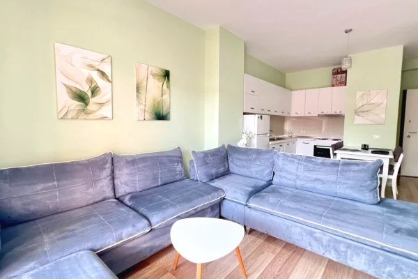 Shtepi me qera Apartament ne Tirane, 1+1, Mobilimi E mobiluar, Pagesa 65,000  Leke.