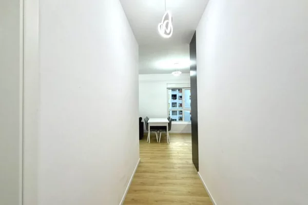 Shtepi me qera Apartament ne Tirane, 1+1, Mobilimi E mobiluar, Pagesa 50,000  Leke.