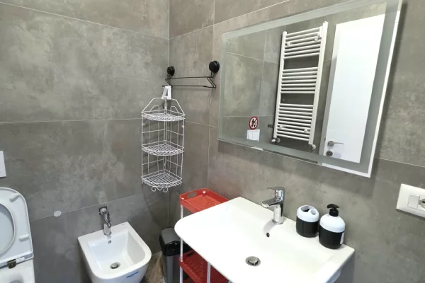 Shtepi me qera Apartament ne Tirane, 3+1, Mobilimi E mobiluar, Pagesa 1,300  Euro.