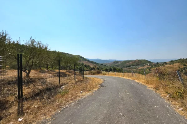 Truall ose Toke ne Tirane - 250,000 Euro