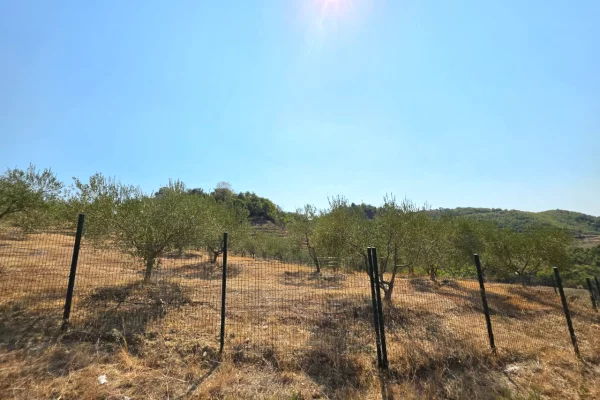 Truall ose Toke ne Tirane - 250,000 Euro