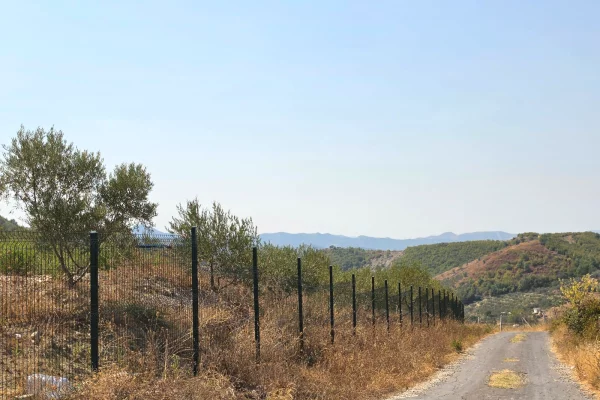 SHITET: TOKE PREMIUM NE PICALLE – 2,000 m2 | INVESTIM ME POTENCIAL TE JASHTEZAKONSHEM 💎