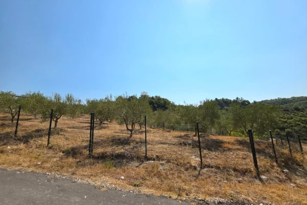 SHITET: TOKE PREMIUM NE PICALLE – 2,000 m2 | INVESTIM ME POTENCIAL TE JASHTEZAKONSHEM 💎