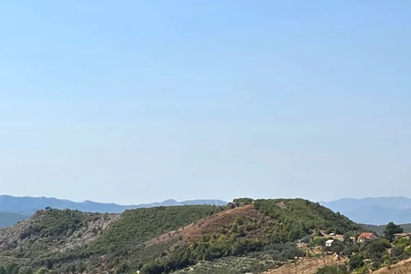 SHITET: TOKE PREMIUM NE PICALLE – 2,000 m2 | INVESTIM ME POTENCIAL TE JASHTEZAKONSHEM 💎