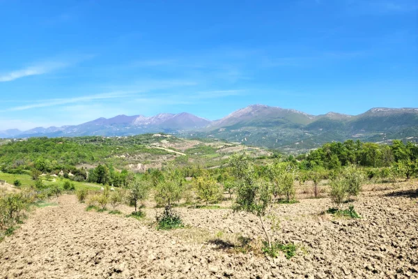 SHITET SUPER TOKE: 3221m2 📍 Ne Qeha 5 Min Nga Mulleti ( 95Euro/m2 Ultra Okazion) (( 297,000Euro ))💣