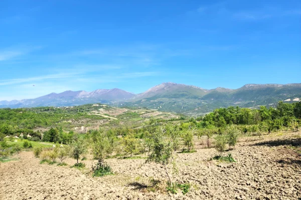 SHITET SUPER TOKE: 3221m2 📍 Ne Qeha 5 Min Nga Mulleti ( 95Euro/m2 Ultra Okazion) (( 297,000Euro ))💣