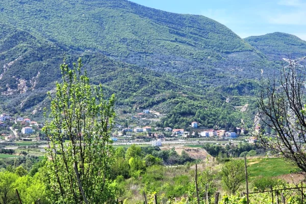 SHITET SUPER TOKE: 3221m2 📍 Ne Qeha 5 Min Nga Mulleti ( 95Euro/m2 Ultra Okazion) (( 297,000Euro ))💣