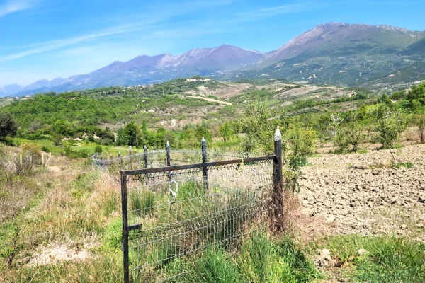 SHITET SUPER TOKE: 3221m2 📍 Ne Qeha 5 Min Nga Mulleti ( 95Euro/m2 Ultra Okazion) (( 297,000Euro ))💣