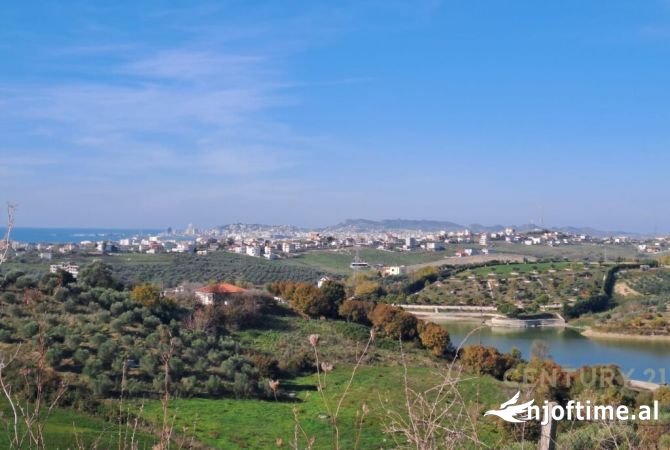 TOKE PER SHITJE ME PAMJE DETI DHE LIQENI!!!