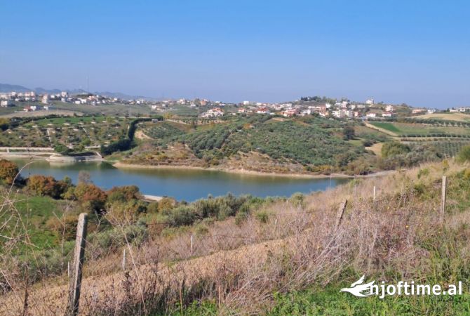 TOKE PER SHITJE ME PAMJE DETI DHE LIQENI!!!