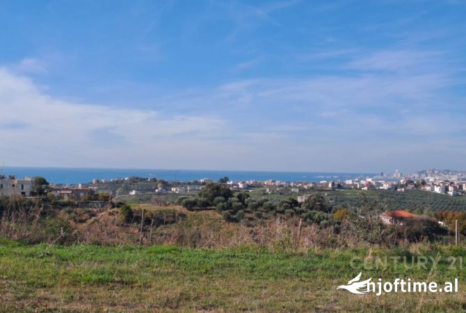 TOKE PER SHITJE ME PAMJE DETI DHE LIQENI!!!