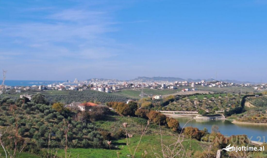 TOKE PER SHITJE ME PAMJE DETI DHE LIQENI!!!