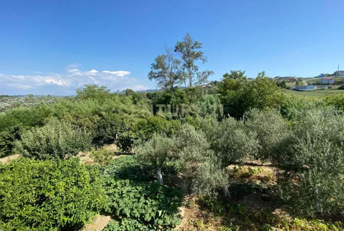 Shtepi ne shitje Shtepi Private ne Durres, 6+1, Mobilimi Pjeserisht e mobiluar, Pagesa 255,000  Euro.