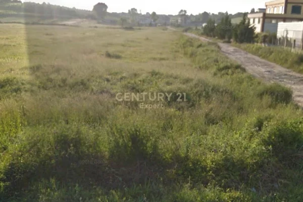 SHITET TOKE 4000m2 BUZE RRUGES KRYESORE NE ARAPAJ, DURRES.