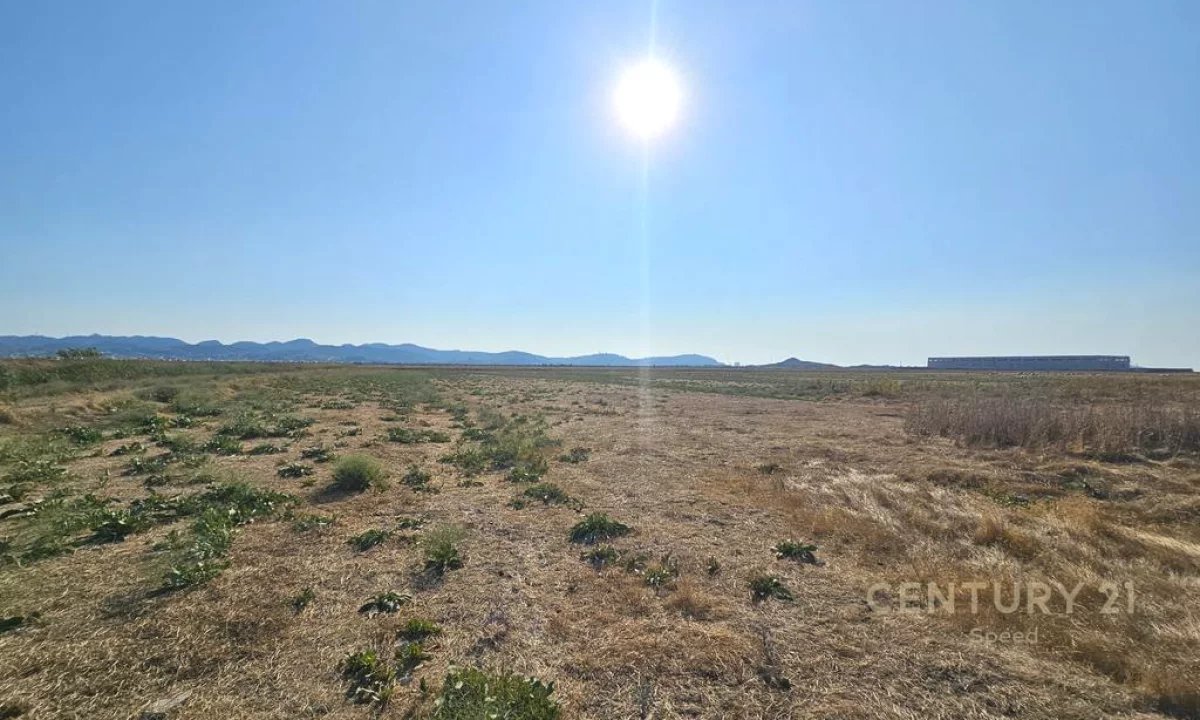 Shesim Toke prane Portit te Ri, Durres