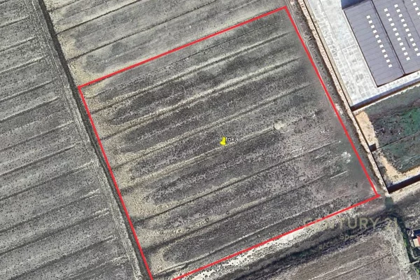 Shesim Toke prane Portit te Ri, Durres