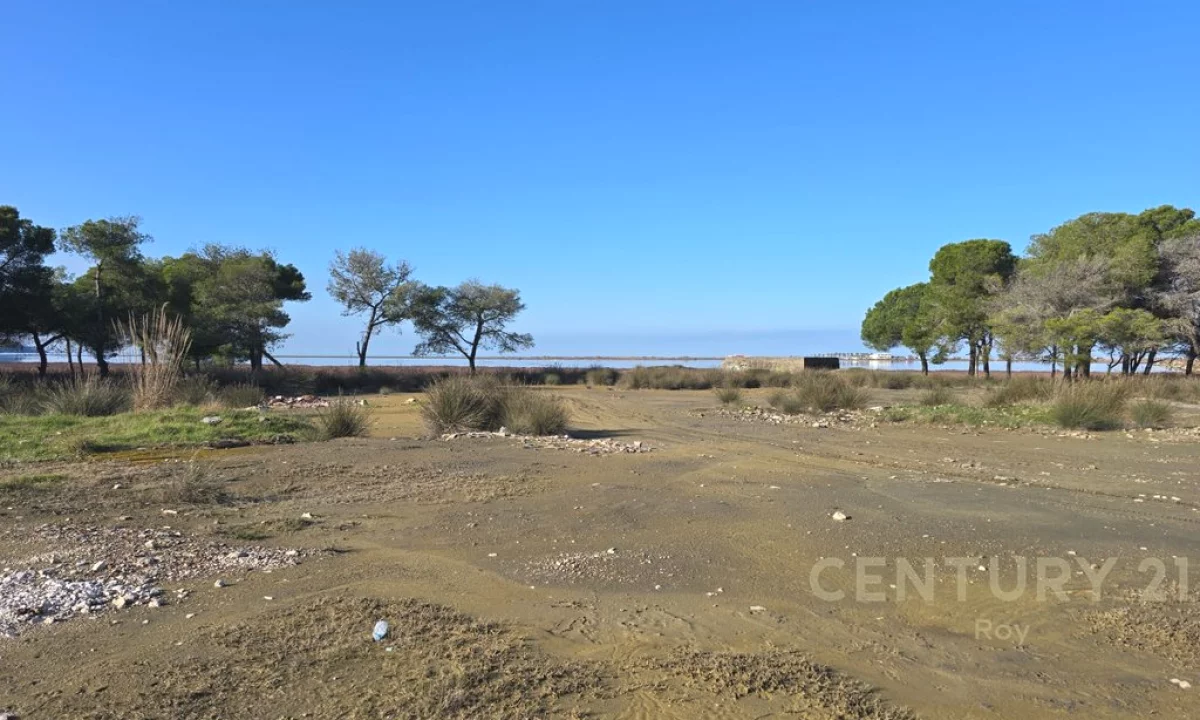 SHITET TOKE TRUALL NE SEKTOR RINIA !!! MUNDESI E ARTE INVESTIMI !!!