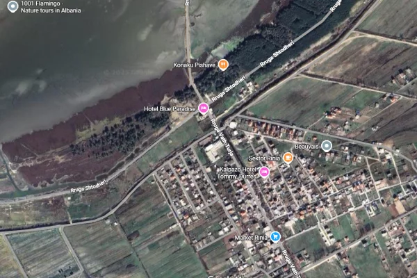 SHITET TOKE TRUALL NE SEKTOR RINIA !!! MUNDESI E ARTE INVESTIMI !!!