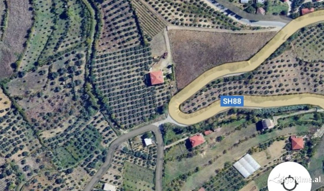 Shitet Ambjet per bizes