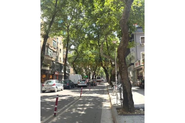 Ambient biznesi me qera 1+1 ne Tirane - 2,000 Euro