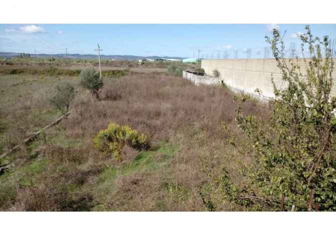 Ambiente Commerciale in Vendita 4+1 a Lushnja - 180,000 Euro