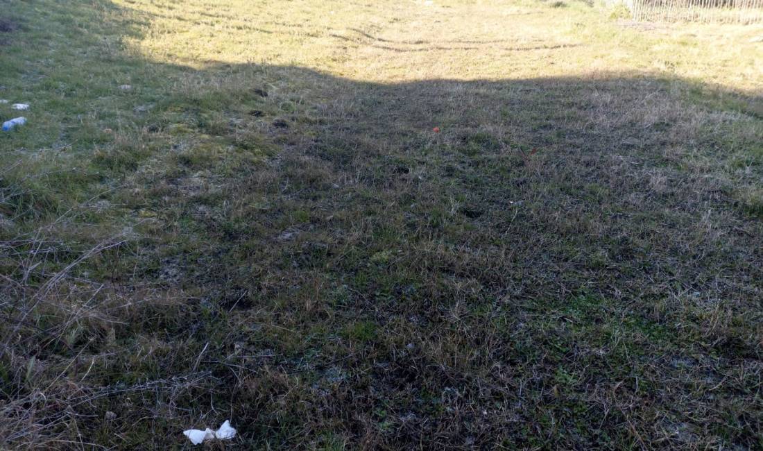 Shitet Truall Prane Vilave Gjermane (ID BT42) Tirane