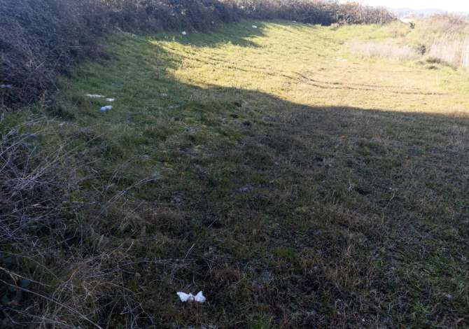 Shitet Truall Prane Vilave Gjermane (ID BT42) Tirane