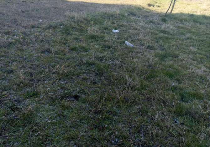 Shitet Truall Prane Vilave Gjermane (ID BT42) Tirane