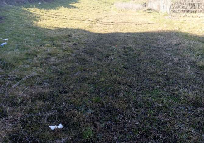 Shitet Truall Prane Vilave Gjermane (ID BT42) Tirane