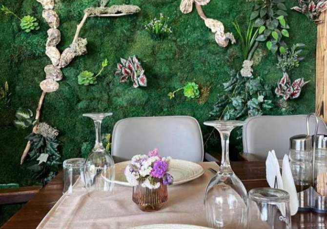 Ambient biznesi me qera 2+1 ne Tirane - 720 Euro