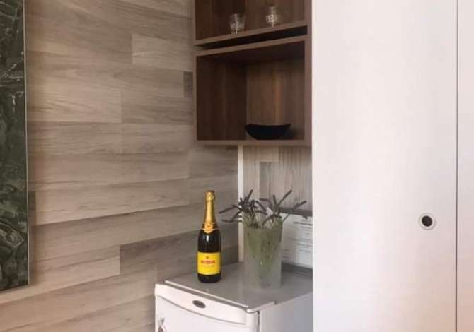 Ambient biznesi me qera 1+1 ne Tirane - 300 Euro