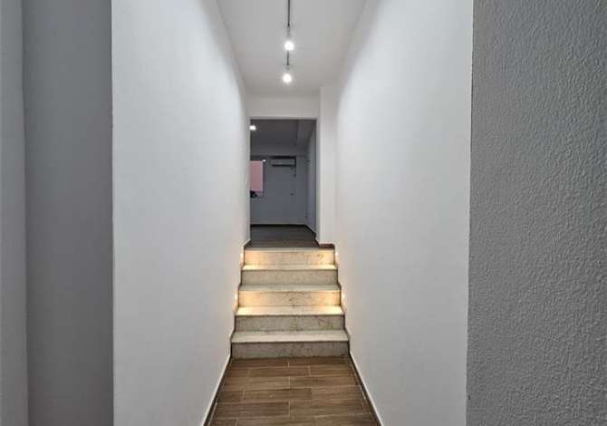 Ambient biznesi me qera 3+1 ne Tirane - 450 Euro