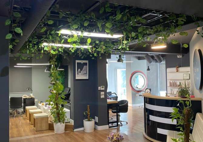 Ambient biznesi me qera 1+1 ne Tirane - 1,500 Euro