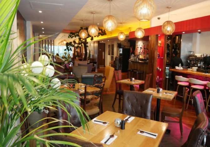 Ambient biznesi me qera 2+1 ne Tirane - 600 Euro