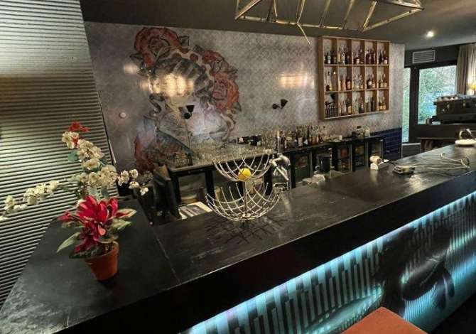 Ambient biznesi me qera 1+1 ne Tirane - 1,300 Euro