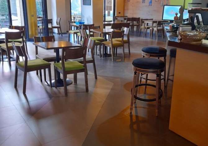 Ambient biznesi me qera 1+1 ne Tirane - 600 Euro