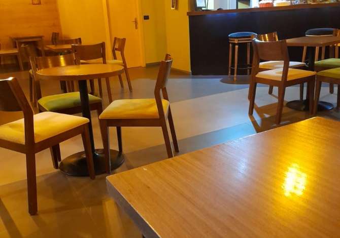 Ambient biznesi me qera 1+1 ne Tirane - 600 Euro