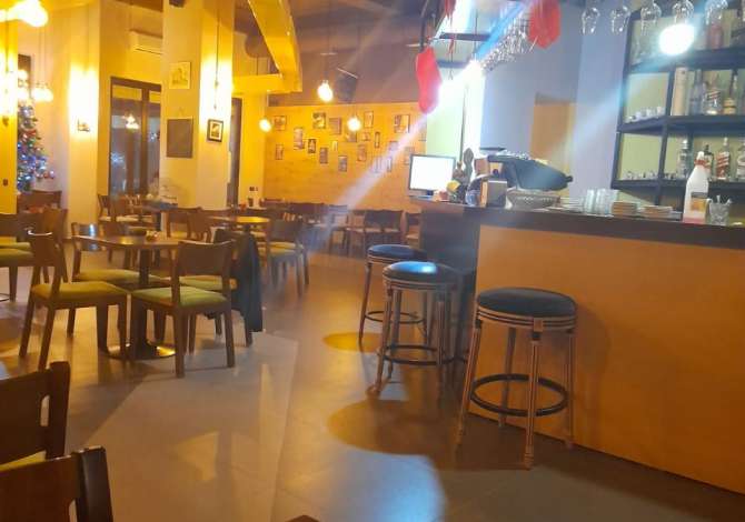 Ambient biznesi me qera 1+1 ne Tirane - 600 Euro